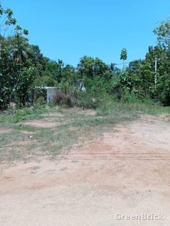 Land in Monaragala - Location: Dodamwatha, Palamu Patumaga