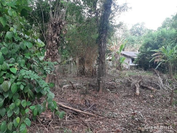 Land in Monaragala - Dutugemunu road, Monaragala