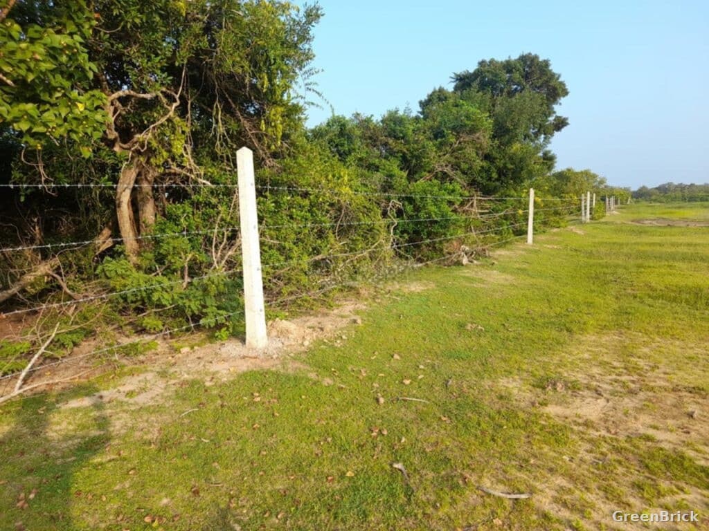Land in Trincomalee - Kuchchaveli, Trincomalee