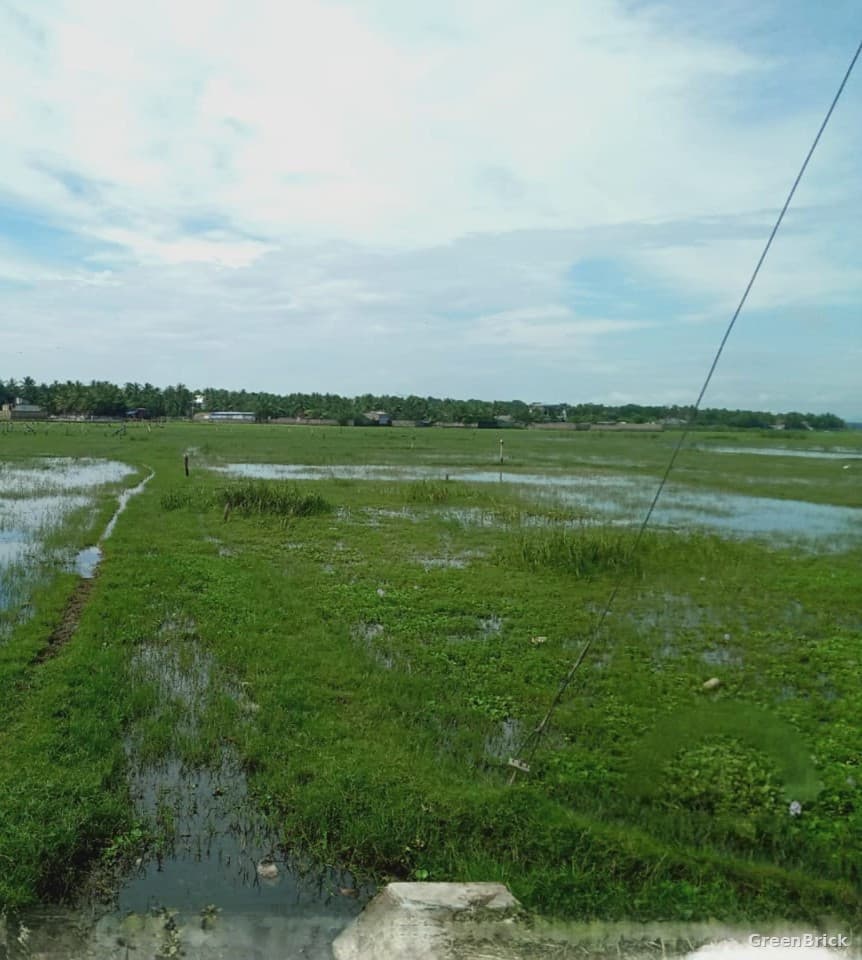 Land in Ampara - Pandiruppu, Ampara