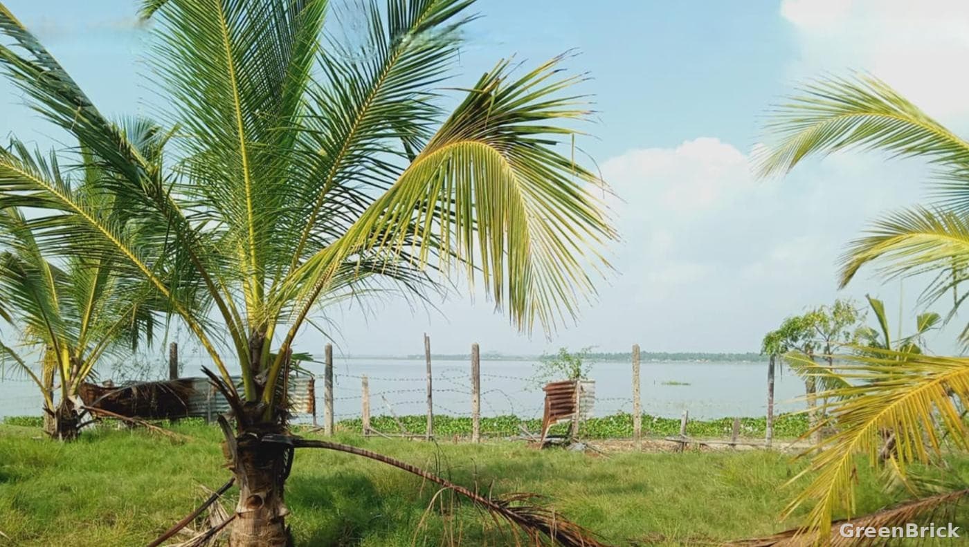 Land in Ampara - Thambiluvil, Thirukovil, Ampara