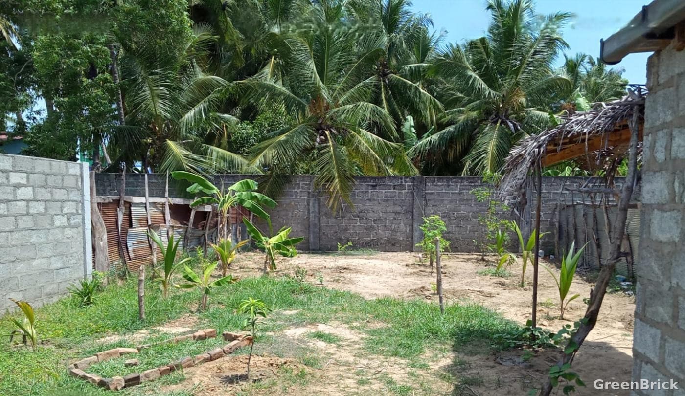 Land in Ampara - Nintavur, Ampara