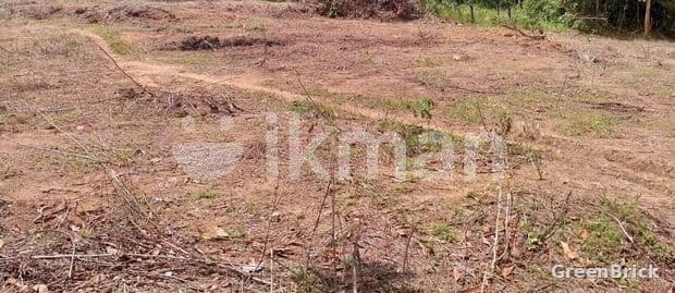 Land in Puttalam - Wanathavilluwa, Puttalam